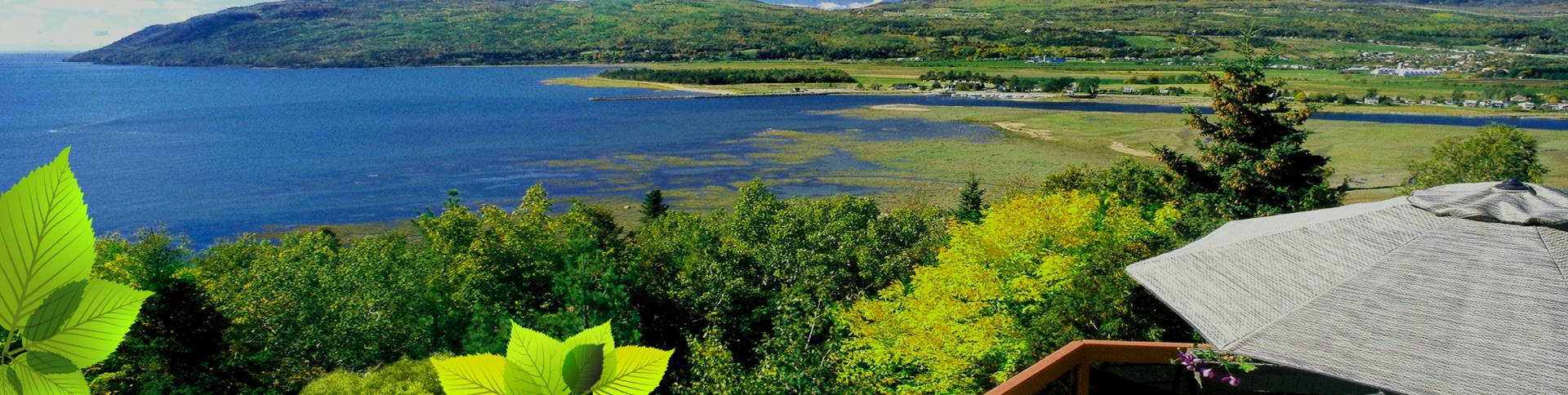 Chalets à louer avec borne pour voiture électrique