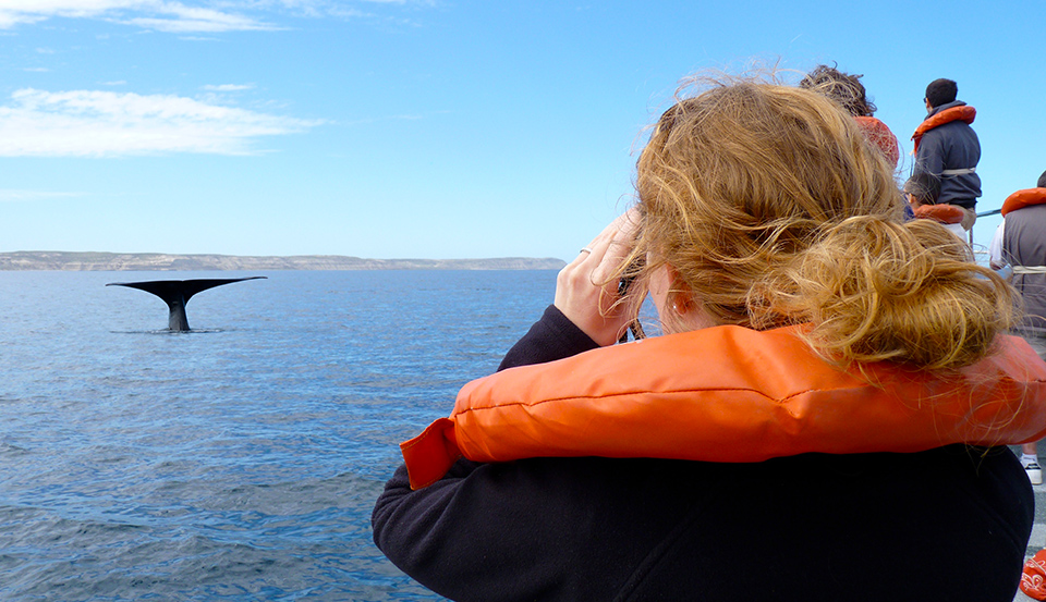 Région chalets prestige Charlevoix