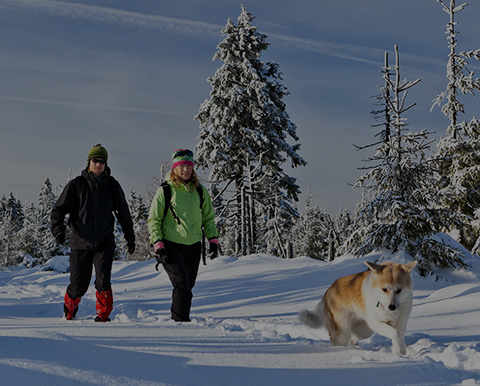 Région chalets prestige Charlevoix