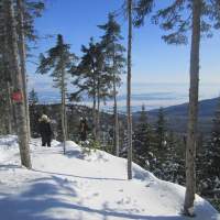 Sentier Gabrielle Roy (5 min)