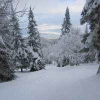 Piste La Dominique Maltais ( Massif)