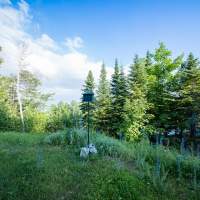 Jardin avec mangeoire 