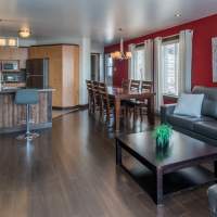 Salon, cuisine et salle à diner