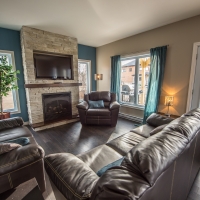 Salon vue sur fleuve et mont le Massif