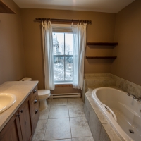 Salle de bain de ce chalet à louer Massif